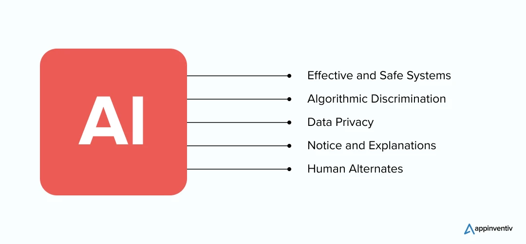 Various Principles of AI Bill of Rights